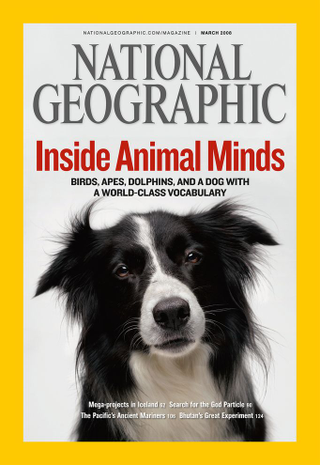 Illustration for article titled The Best, Most Iconic National Geographic Covers
